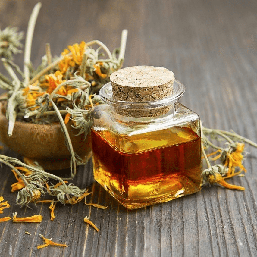 Calendula Oil Info Pic Calendula Oil Info Pic